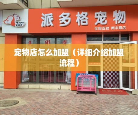 宠物店怎么加盟（详细介绍加盟流程）