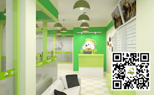 宠物店怎么加盟（详细介绍加盟流程）