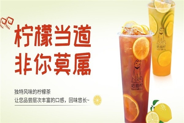 魔柠怎么加盟（详述加盟流程和条件）