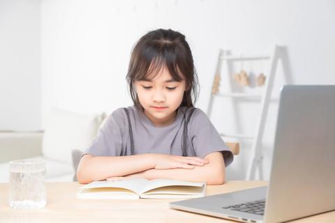 合肥早教加盟学费详解，了解费用结构，开启美好未来