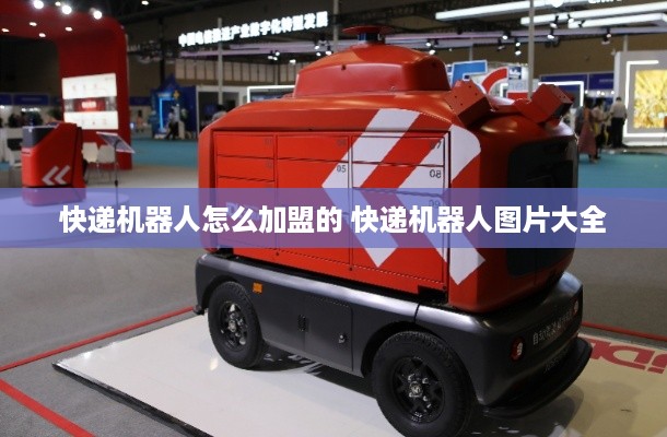 快递机器人怎么加盟的 快递机器人图片大全