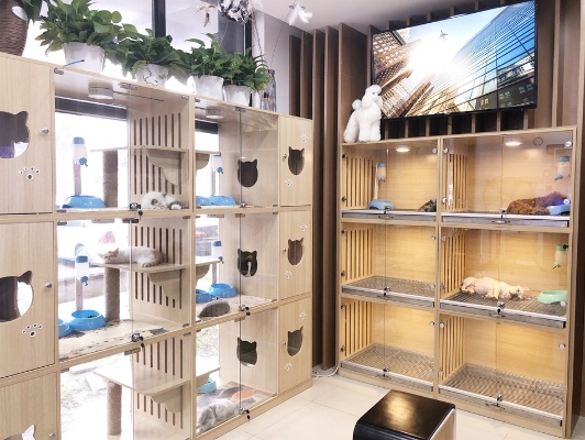 山西萌宠店加盟怎么开店 山西萌宠宠物用品有限公司