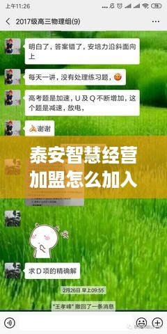 花呗额度能提现不？深度解析与实用建议