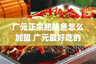 慈溪小家电品牌，品质与创新的典范