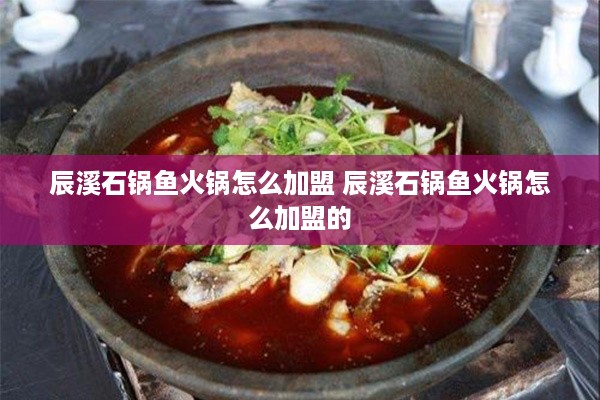 辰溪石锅鱼火锅怎么加盟 辰溪石锅鱼火锅怎么加盟的