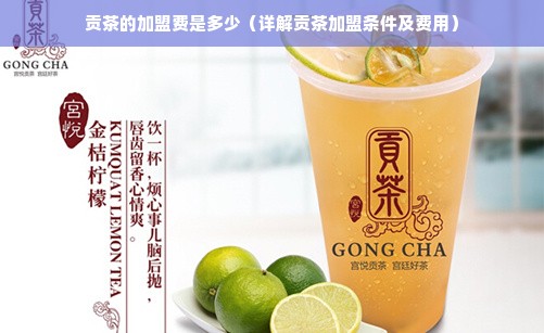 贡茶的加盟费是多少（详解贡茶加盟条件及费用）