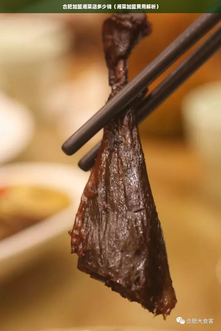 合肥加盟湘菜店多少钱（湘菜加盟费用解析）
