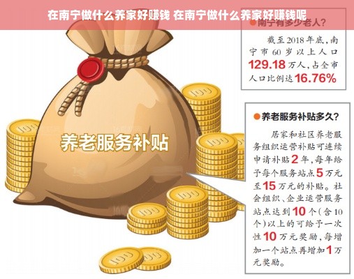 在南宁做什么养家好赚钱 在南宁做什么养家好赚钱呢