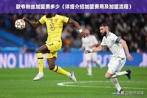 欧爷粉丝加盟费多少（详细介绍加盟费用及加盟流程）