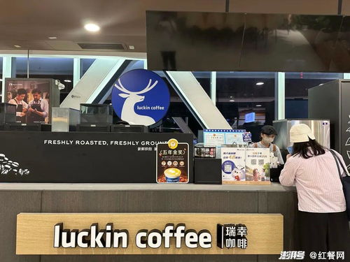 面板店加盟品牌有哪些（面板店加盟品牌推荐）