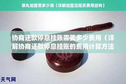 茶丸加盟费多少钱（详解加盟流程及费用结构）