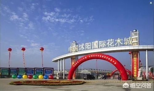 在沭阳能做什么生意赚钱 沭阳做什么生意挣钱