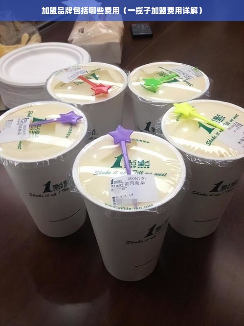 加盟品牌包括哪些费用（一揽子加盟费用详解）