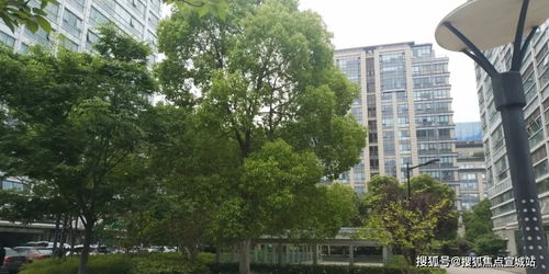 兽医药品牌子，品质与信赖的完美结合