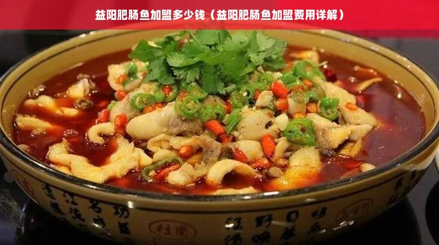 益阳肥肠鱼加盟多少钱（益阳肥肠鱼加盟费用详解）