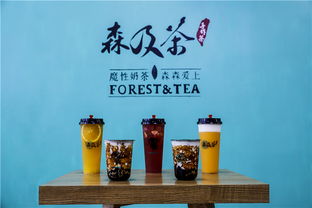 上海茶叶加盟哪些品牌好（推荐几个值得信赖的茶叶加盟品牌）