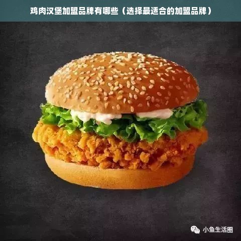 鸡肉汉堡加盟品牌有哪些（选择最适合的加盟品牌）