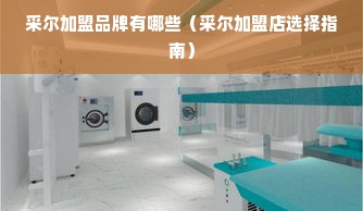 采尔加盟品牌有哪些（采尔加盟店选择指南）