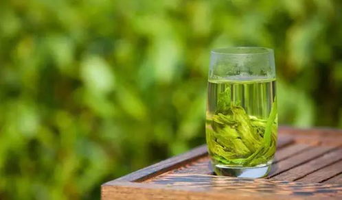 绿茶加盟大品牌有哪些（绿茶加盟选择指南）