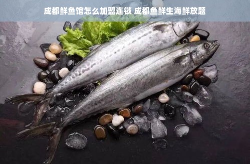 安徽早教加盟好不好？全面解析给你听