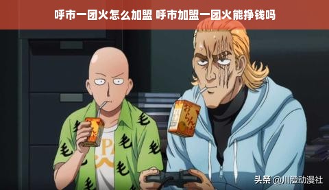 呼市一团火怎么加盟 呼市加盟一团火能挣钱吗