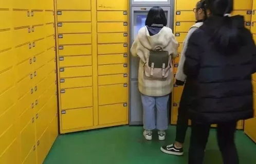 快递加盟商费是多少（了解快递加盟的费用详情）
