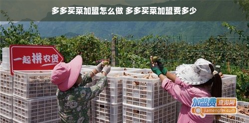 多多买菜加盟怎么做 多多买菜加盟费多少