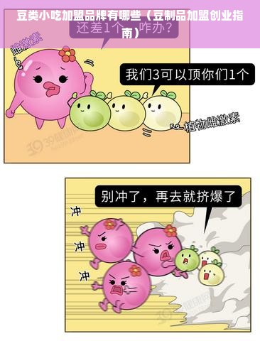豆类小吃加盟品牌有哪些（豆制品加盟创业指南）