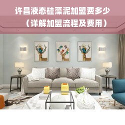 许昌液态硅藻泥加盟费多少（详解加盟流程及费用）