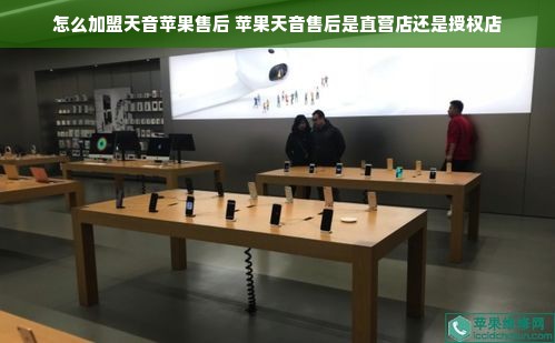 怎么加盟天音苹果售后 苹果天音售后是直营店还是授权店