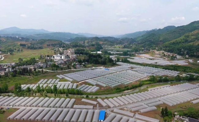老板家电品牌性价比深度解析