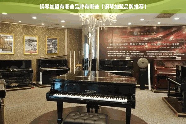 钢琴加盟有哪些品牌有哪些（钢琴加盟品牌推荐）