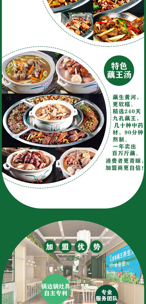 英语早教加盟费详解，投入、风险与收益并存