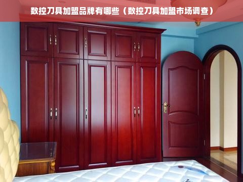 数控刀具加盟品牌有哪些（数控刀具加盟市场调查）