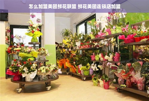 怎么加盟美团鲜花联盟 鲜花美团连锁店加盟