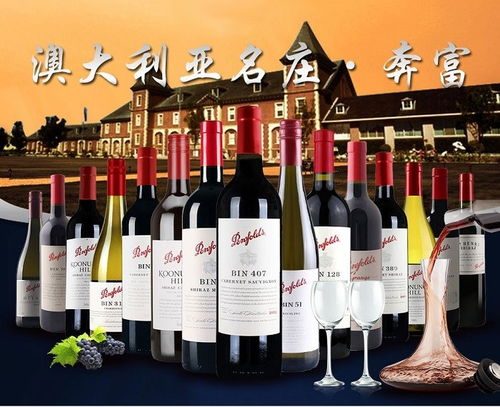 东莞奔富红酒怎么加盟 奔富红酒厂家联系方式