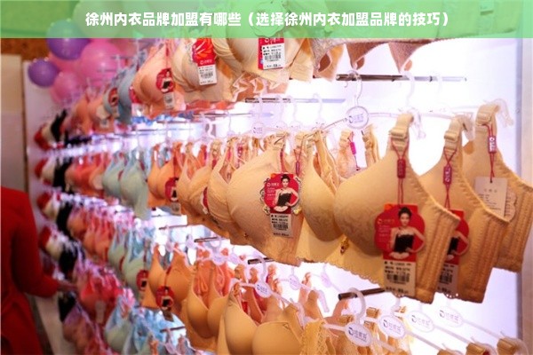 徐州内衣品牌加盟有哪些（选择徐州内衣加盟品牌的技巧）