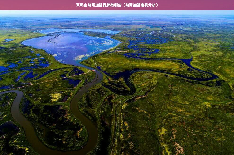 双鸭山燕窝加盟品牌有哪些（燕窝加盟商机分析）