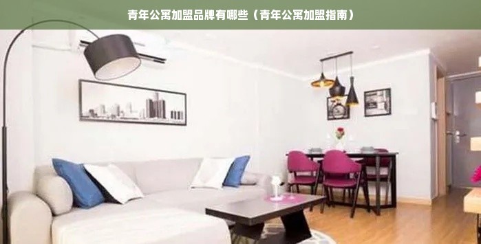 青年公寓加盟品牌有哪些（青年公寓加盟指南）