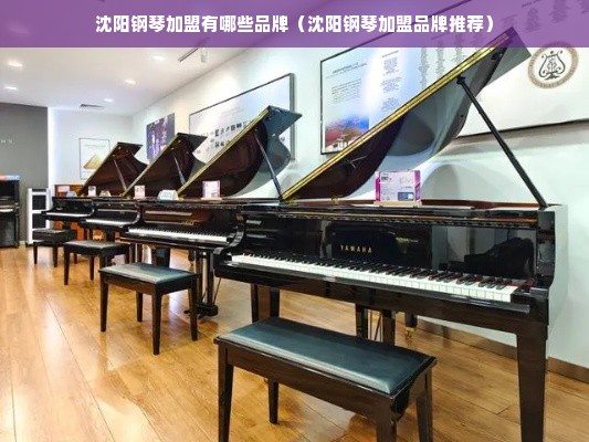 沈阳钢琴加盟有哪些品牌（沈阳钢琴加盟品牌推荐）