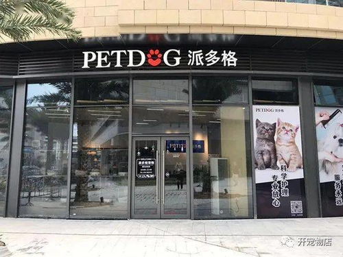 盘点乳胶油漆市场上的知名品牌及特点