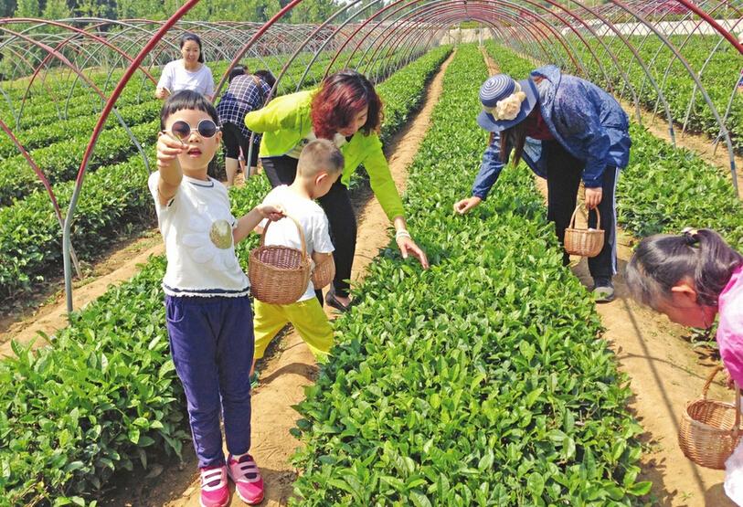 农村房间做什么赚钱的好 农村房子适合干什么用好