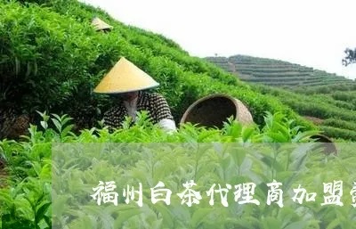 漳州福鼎白茶怎么加盟代理 福鼎白茶招商加盟电话
