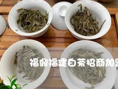 漳州福鼎白茶怎么加盟代理 福鼎白茶招商加盟电话