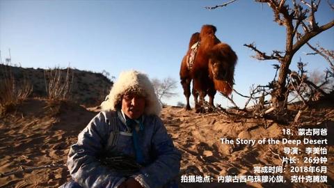 草原上可以做什么工作赚钱 草原上可以干什么