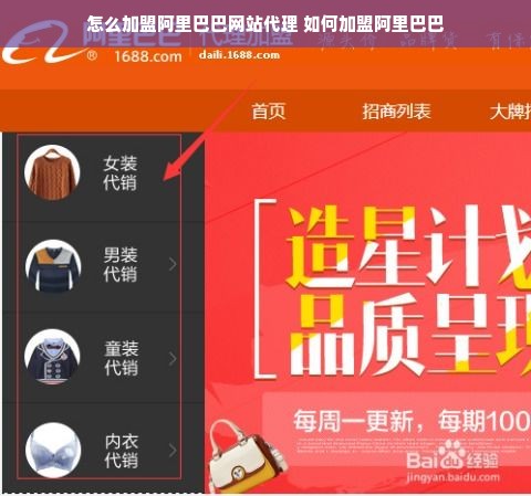 怎么加盟阿里巴巴网站代理 如何加盟阿里巴巴