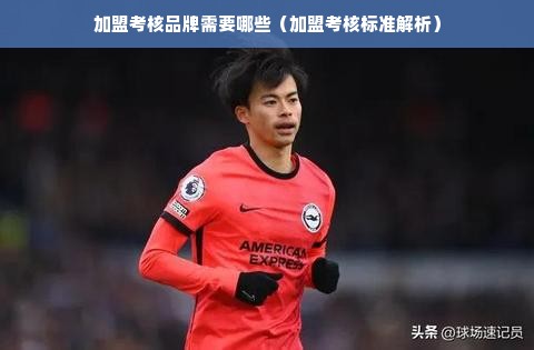 加盟考核品牌需要哪些（加盟考核标准解析）