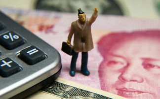 现在做什么呢容易赚钱 现在做什么比较好赚
