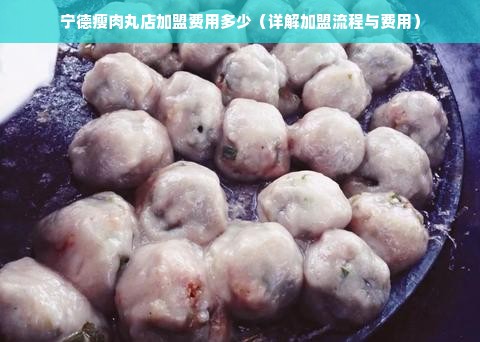 宁德瘦肉丸店加盟费用多少（详解加盟流程与费用）