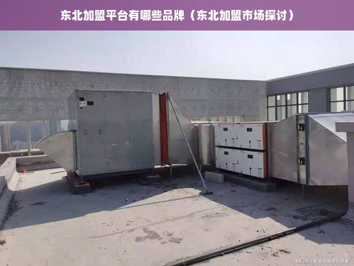 东北加盟平台有哪些品牌（东北加盟市场探讨）